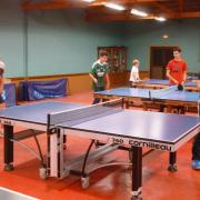 stas2015_pingpong_02