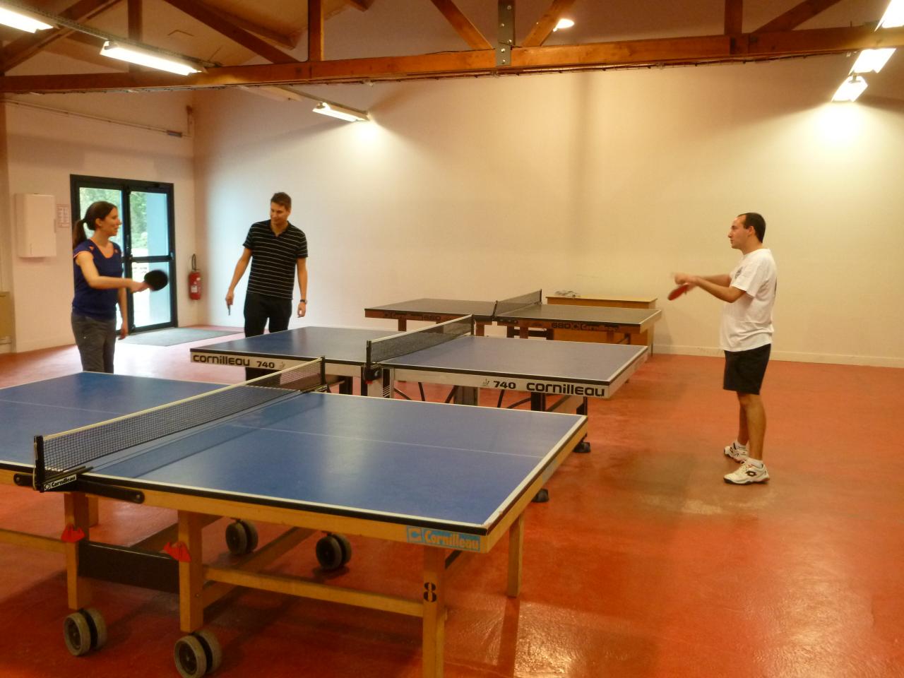 stas2015_pingpong_06