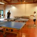 stas2015_pingpong_06