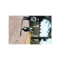 STAS 2000_petanque_02