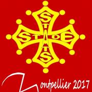 Logo stas2017